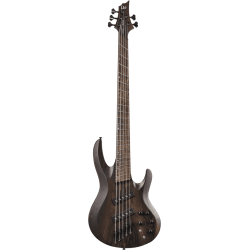 LTD Basse B1000 5 cordes Multi Scale Natural Satin