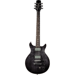 HAMER Archtop Transparent Black