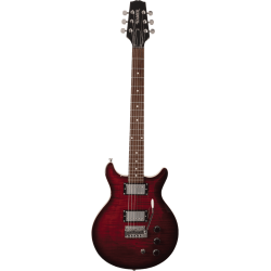 HAMER Archtop Dark Cherry Burst