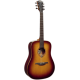 LâG Dreadnought Brown Shadow
