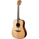 LâG Dreadnought lefty