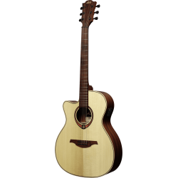 LâG Lefty auditorium cutaway electro