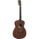 MARTIN 0X1E-01