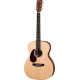 MARTIN 000X1AE gaucher