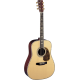 MARTIN D-41