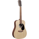 MARTIN DX2E12