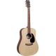 MARTIN DX2E-02
