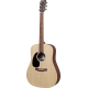 MARTIN DX2E-02-L