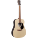 MARTIN DX2E-03