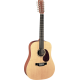 MARTIN D12X1AE