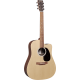 MARTIN DCX2E-01