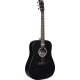 MARTIN DX Johnny Cash