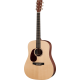 MARTIN DX1AE gaucher