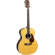MARTIN GP-35E