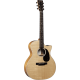 MARTIN GPC-13E