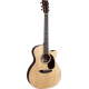 MARTIN GPC-16E Rosewood