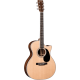 MARTIN GPC-35E