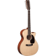 MARTIN GPC12PA4 12 cordes