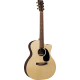 MARTIN GPCX1AE 20th Anniversary