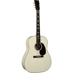 MARTIN Custom Shop D sharp2880324