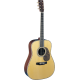 MARTIN D-42