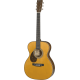 MARTIN OMJM John Mayer gaucher