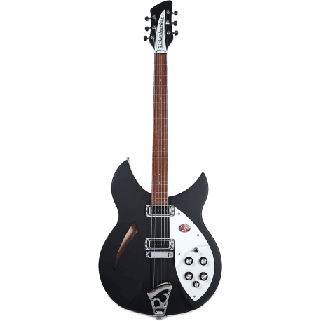 RICKENBACKER Noir mat