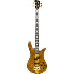 SPECTOR Basse Euro 4 LT Tiger Eye Gloss