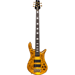 SPECTOR Basse Euro 5 LT Tiger Eye Gloss