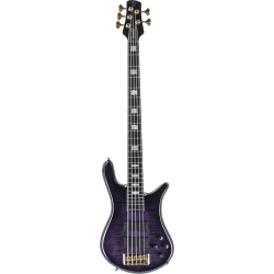 SPECTOR Basse Euro 5 LT Violet Fade Gloss