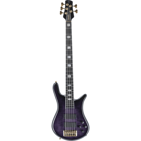 SPECTOR Basse Euro 5 LT Violet Fade Gloss