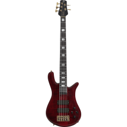 SPECTOR Basse Euro 5 LX Black Cherry Gloss