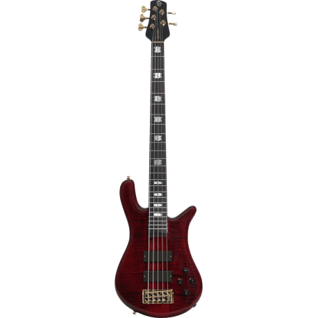 SPECTOR Basse Euro 5 LX Black Cherry Gloss
