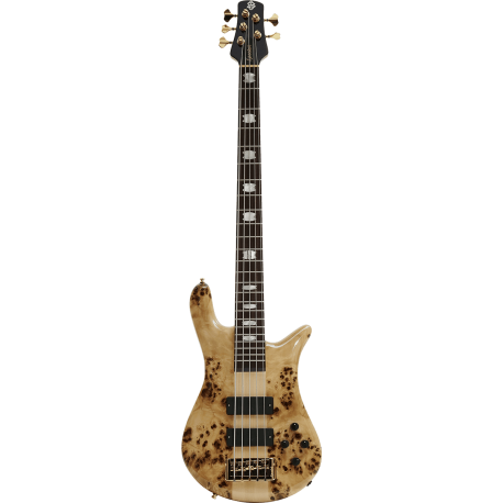 SPECTOR Basse Euro 5 LX Poplar Burl Natural Gloss