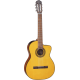 TAKAMINE GC1CE-NAT natural