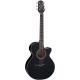 TAKAMINE GF15CE-BLK black