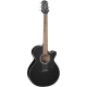 TAKAMINE GF30CE-BLK black