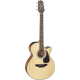 TAKAMINE GF30CE-NAT natural