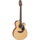 TAKAMINE GN10CE-NS natural satin