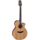 TAKAMINE GN20CE-NS natural satin