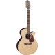 TAKAMINE GN71CE-NAT natural