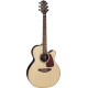 TAKAMINE GN93CE-NAT natural