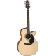 TAKAMINE GX18CE-NS natural satin + housse