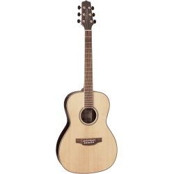 TAKAMINE GY93-NAT natural