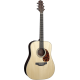 TAKAMINE Dreadnought Electro