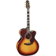 TAKAMINE Signature Toby Keith EF250TK