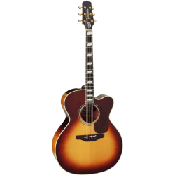 TAKAMINE Signature Toby Keith EF250TK