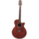 TAKAMINE EF261S-AN gloss antique satin