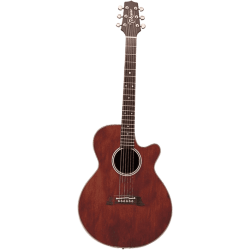 TAKAMINE EF261S-AN gloss antique satin