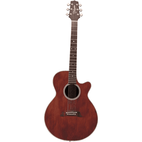 TAKAMINE EF261S-AN gloss antique satin